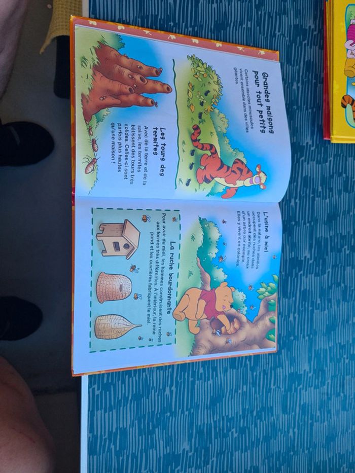 Livres Winnie l'ourson - photo numéro 8