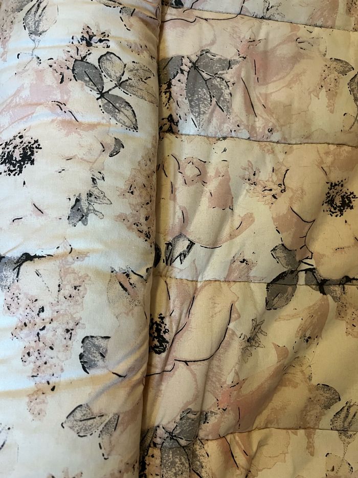 Nid d’ange - photo numéro 2