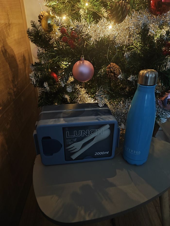 Lot lunch box + gourde isotherme – très bon état - photo numéro 2