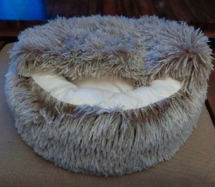 Coussin pour chat