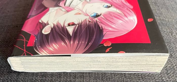 Manga The vampire & The rose - photo numéro 4