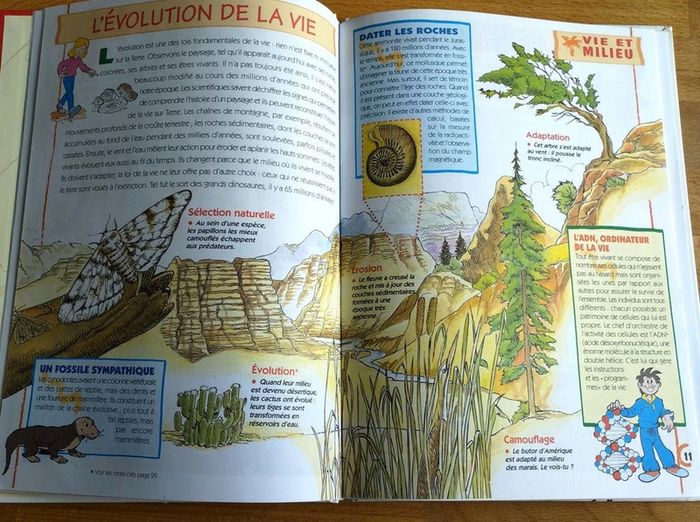 Livre enfant Il était une fois l'Homme - photo numéro 3