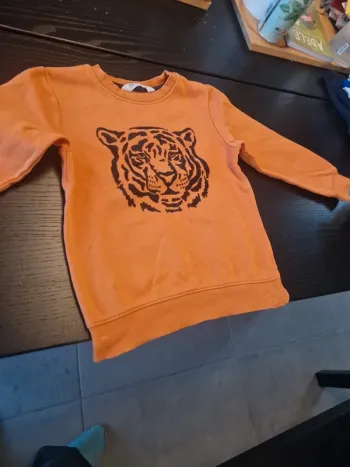 Pull taille 6 ans