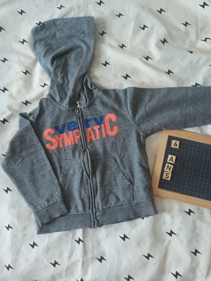 Lot gilet idéal crèche-école / taille 4 ans / tbe - be - photo numéro 3