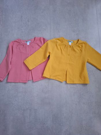 Lot 2 vestes obaibi 23 mois
