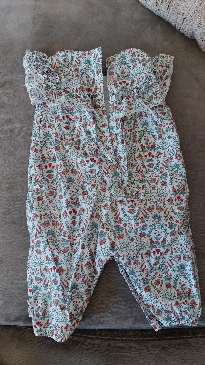 Barboteuse sergent major - photo numéro 2