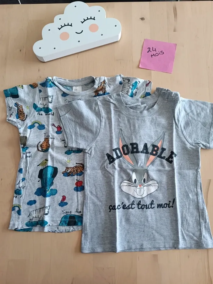 Lot de 2 t-shirts manches courtes 24 mois