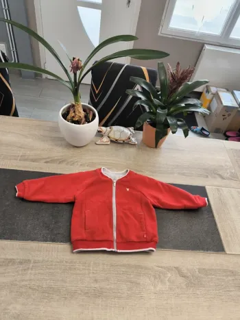 Gilet zippé réversible garçon 18 mois obaibi Koala 🐨