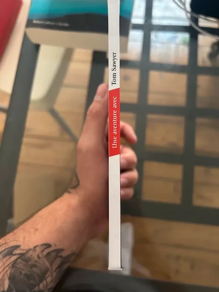 Une aventure avec Tom Sawyer - photo numéro 3