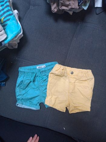 Lot shorts