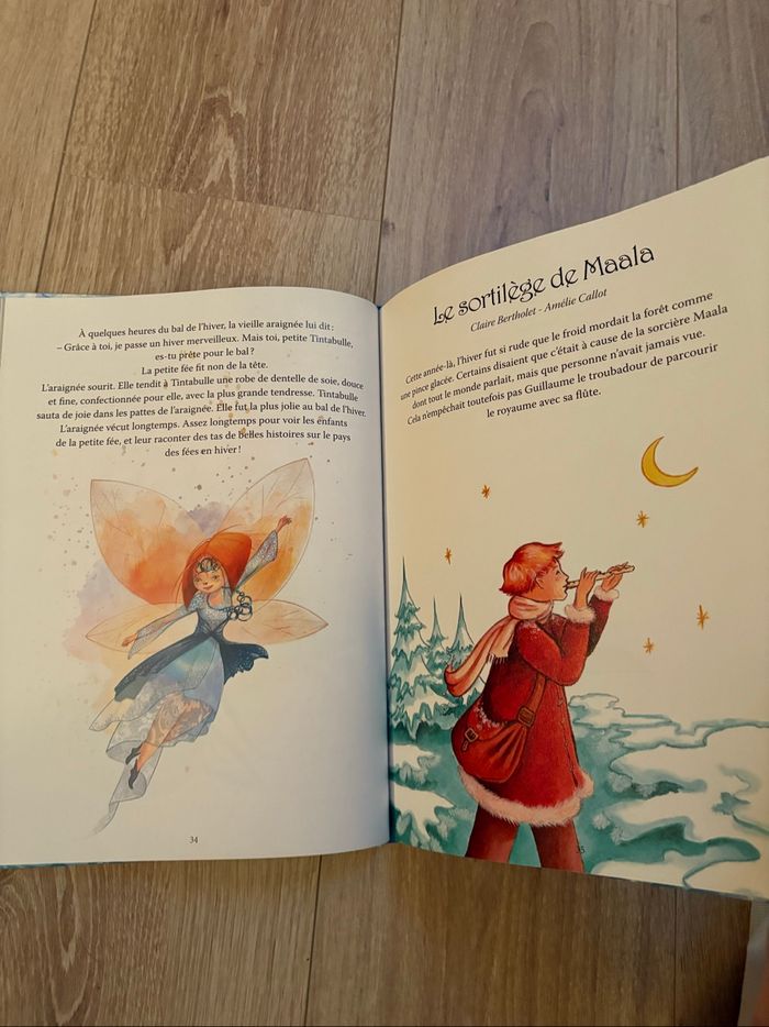 20 histoires de fées des neiges - photo numéro 4