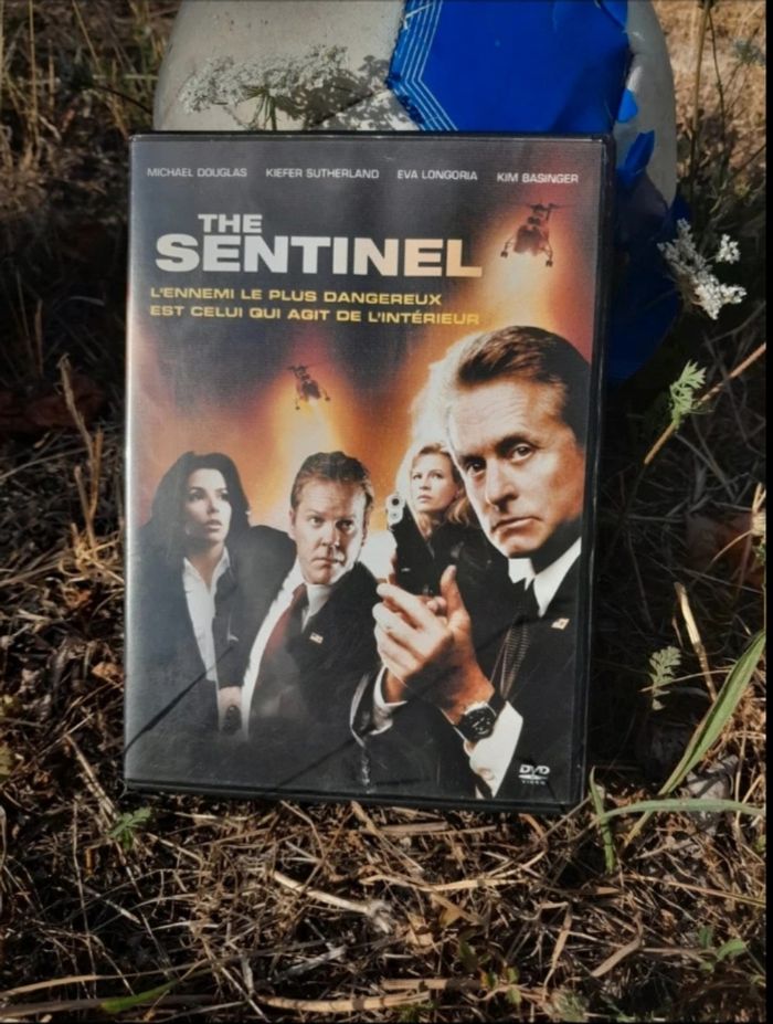 DVD adulte