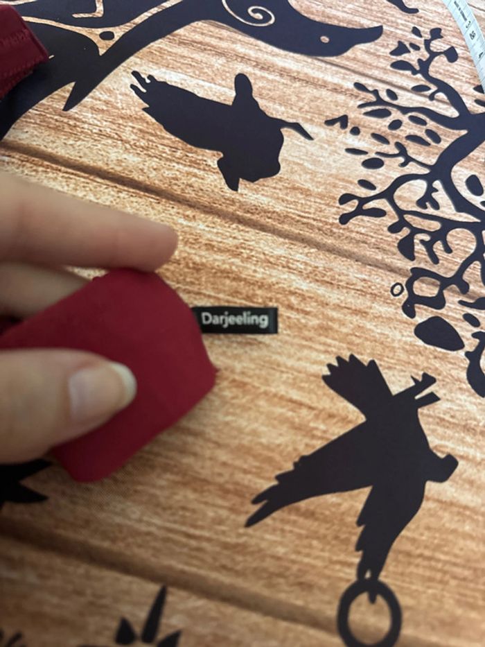 Soutien gorge grande taille - photo numéro 8