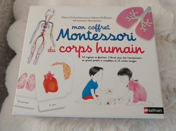 Le corps humain Montessori 