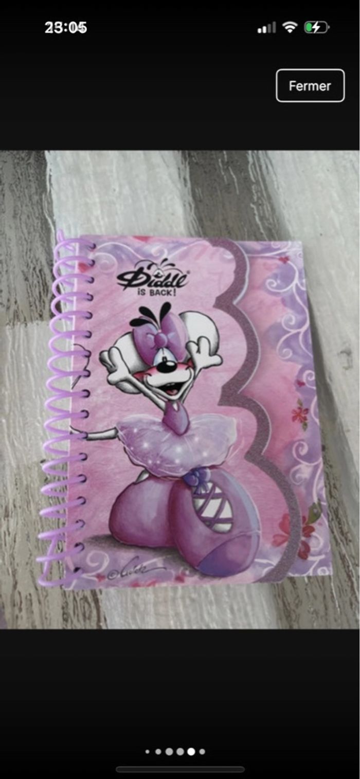 Lot de 2 blocs a6 + 1 carnet spirales diddlina a6 + 1 stylo neuf - photo numéro 8