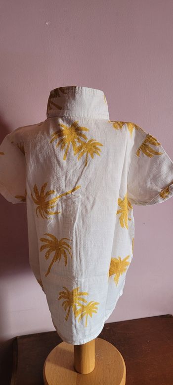 Chemise manches courtes 