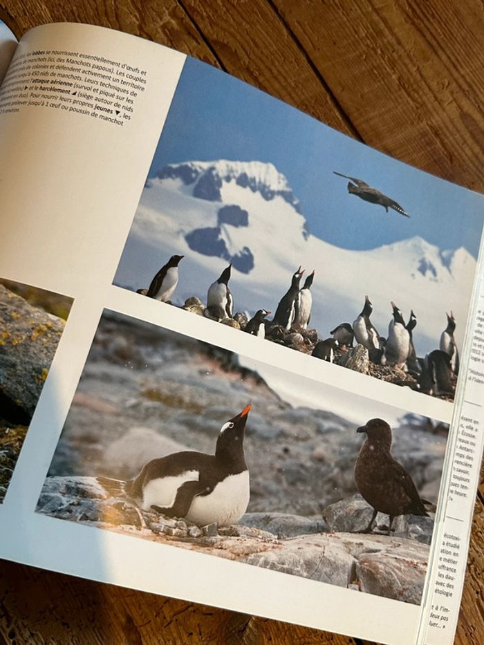 Compagnie du Ponant - Livre Voyage en Antarctique Terre de Feu Shetland du Sud beau album - photo numéro 10