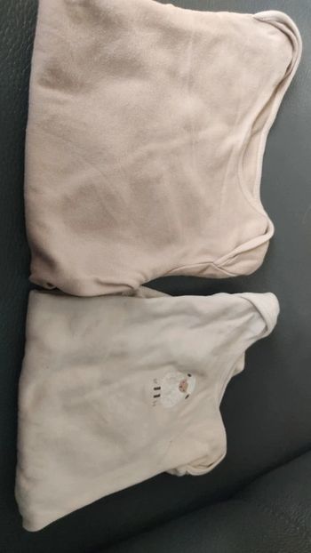 Bodies