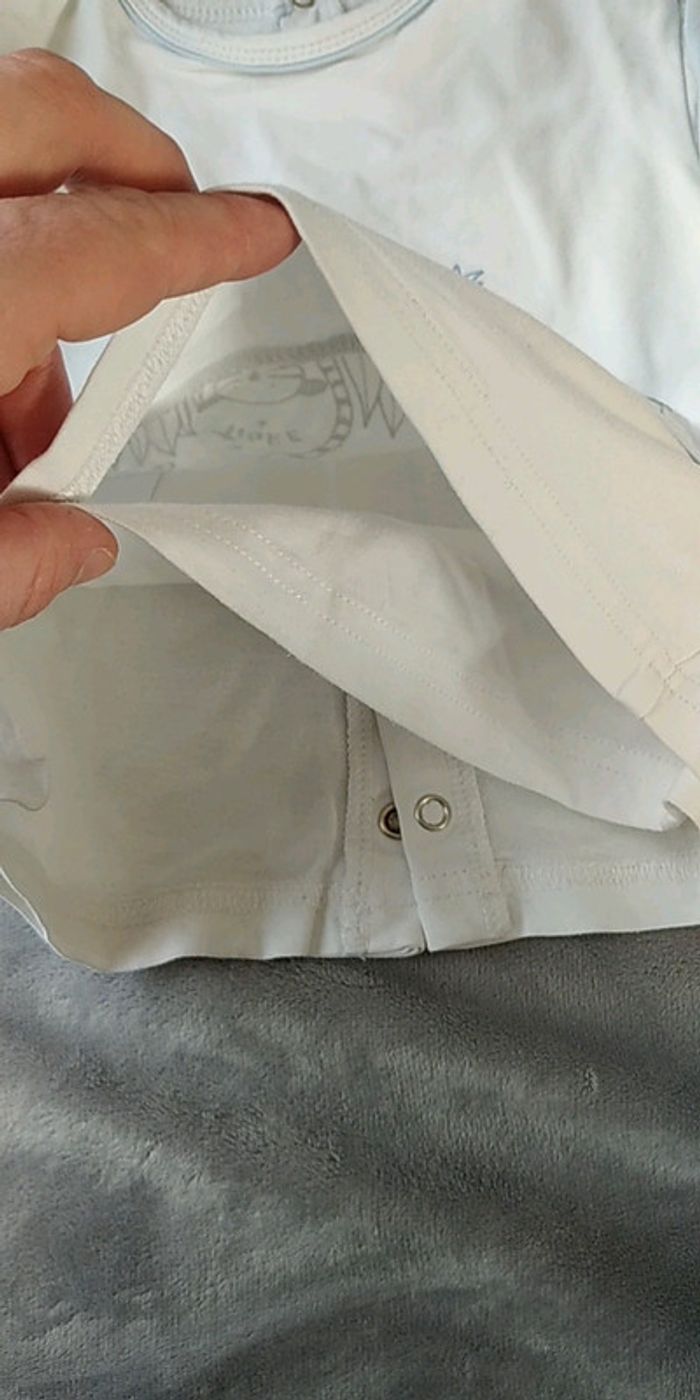 Tee shirt manches longues doublé Garçon 9 mois Sucre d'orge "Le petit safari" 100% coton - photo numéro 8