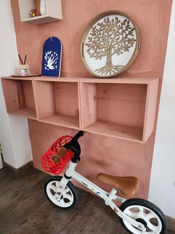 Draisienne état neuf