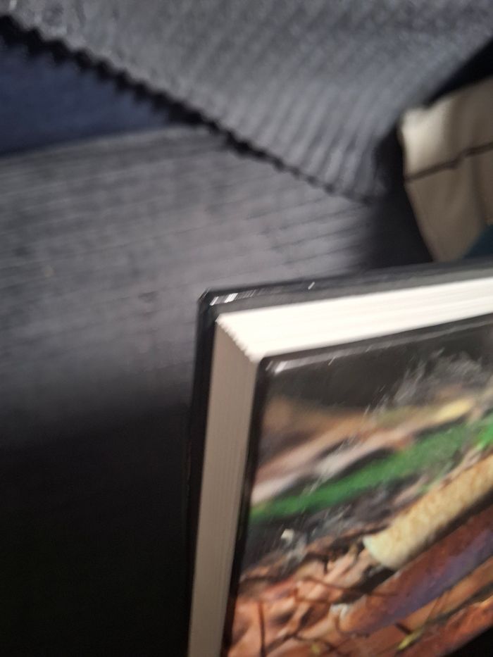 Livre Atlas nature "les champignons comestibles" - photo numéro 5