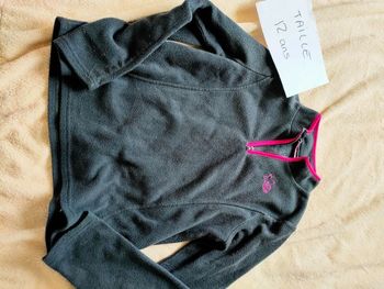 Pull polaire
