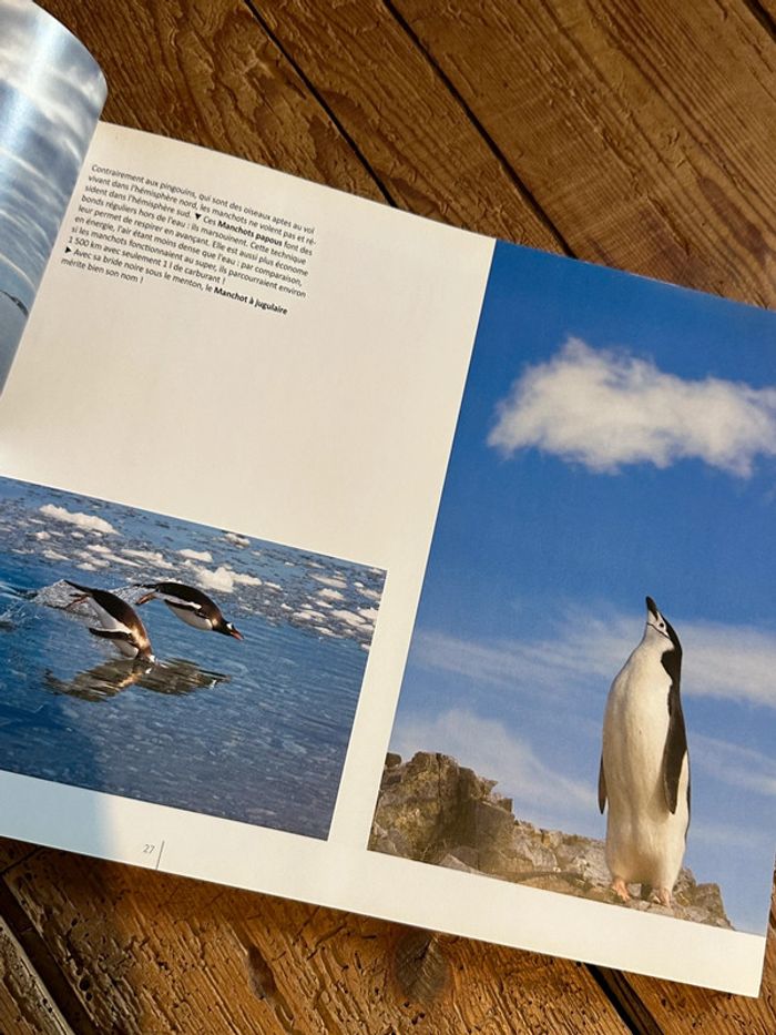 Compagnie du Ponant - Livre Voyage en Antarctique Terre de Feu Shetland du Sud beau album - photo numéro 6