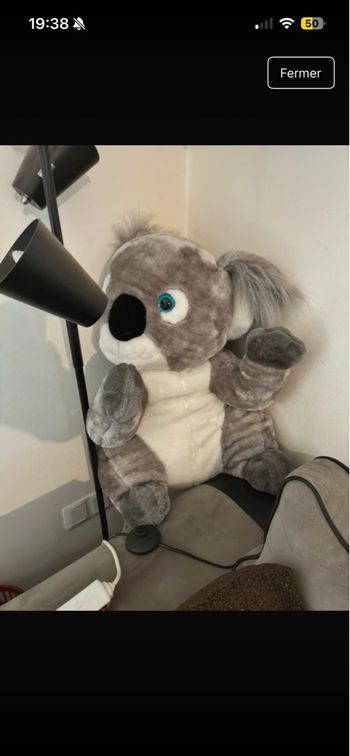 Peluche koala 