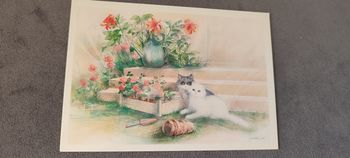 Carte postale dessin chats