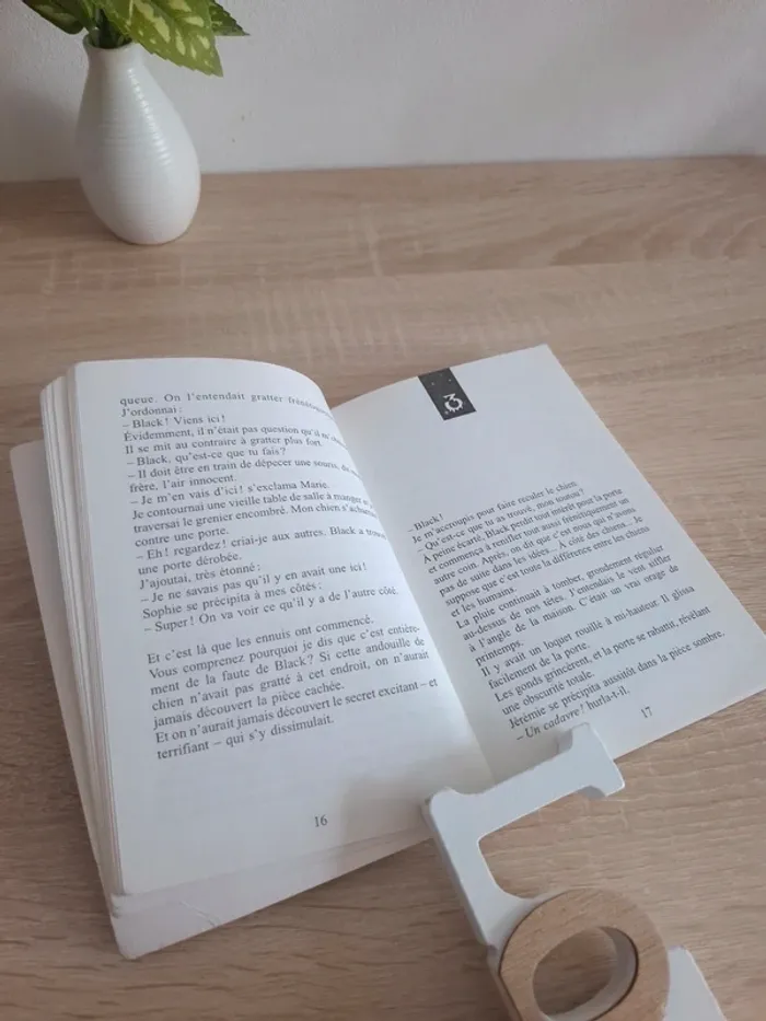 Livre / Chair de poule : Prisonnier du miroir - photo numéro 4