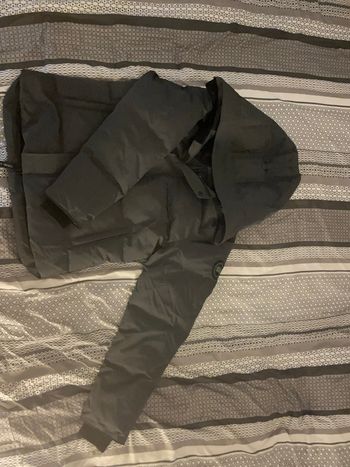 Canada goose  Mc milan grise 