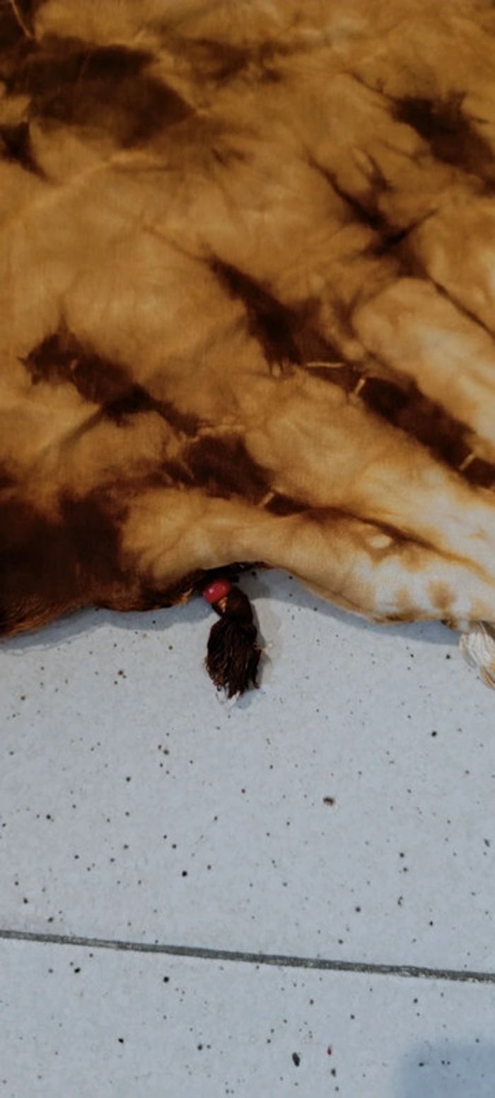 Paréo - photo numéro 3