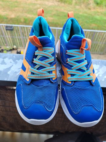 basket geox t37  (10e)