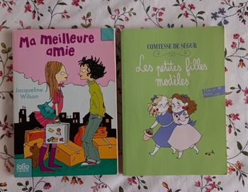 Livres niveau cm2