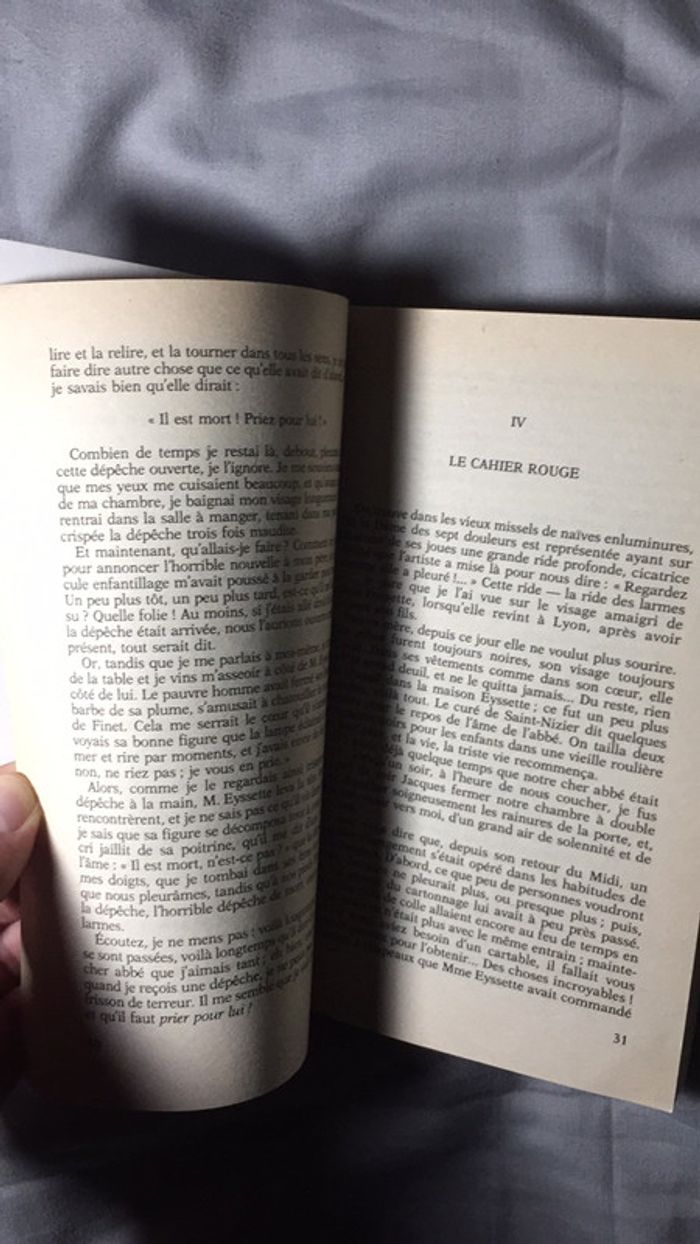 Le petit chose Alphonse Daudet texte intégral Classiques Français - photo numéro 14