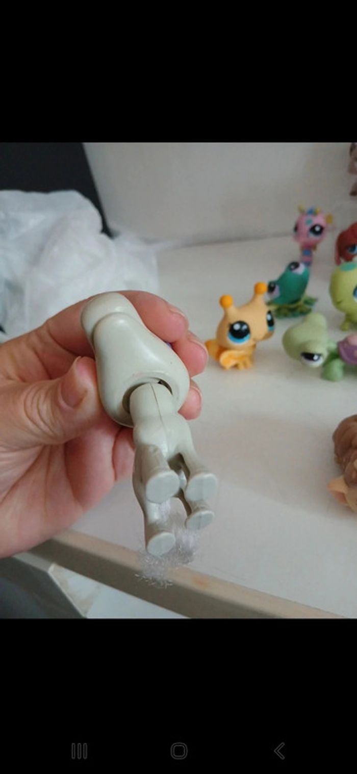 Littlest petshop - photo numéro 13