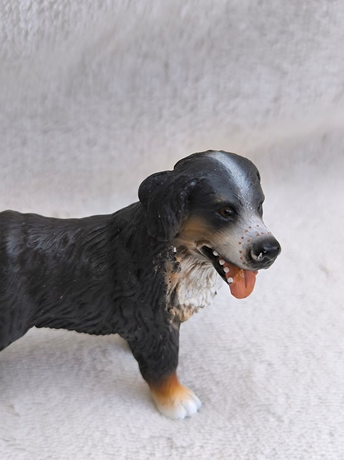Chien Bernois Schleich - photo numéro 4