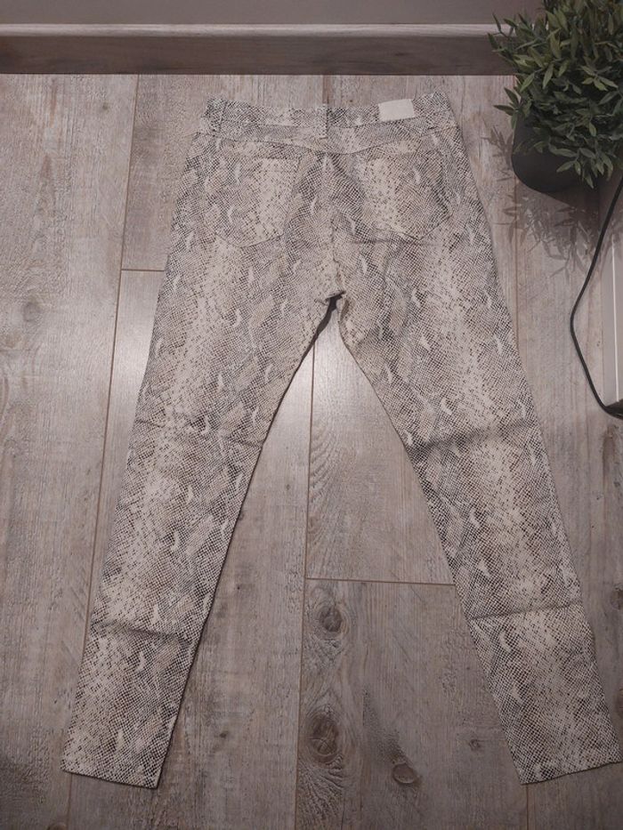 Jean léger python - photo numéro 5