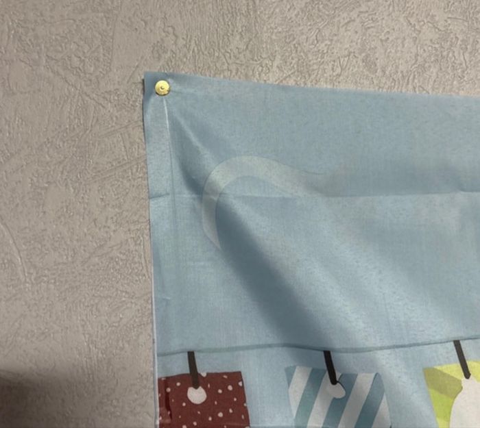 Décoration d’anniversaire bluey - photo numéro 4