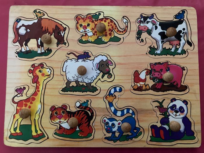 Puzzle encastrement gros boutons