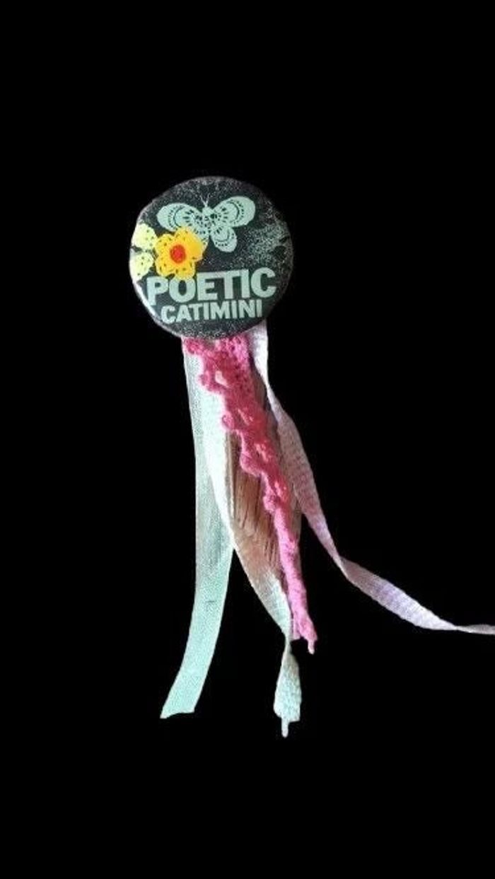 Jolie petite broche pour fille catimini