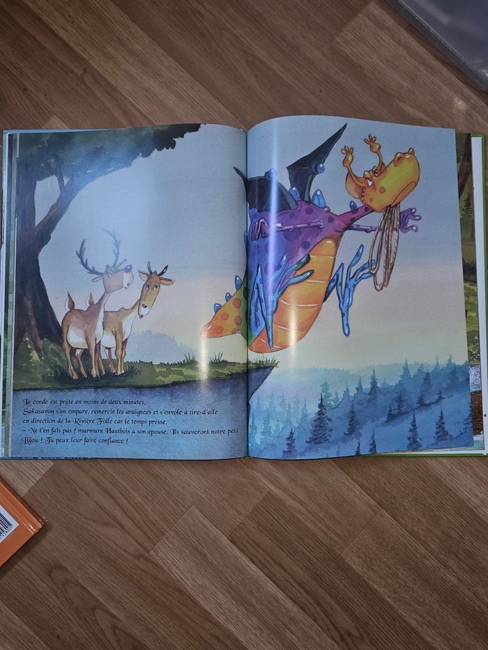 Livres enfants Sakasavon - photo numéro 5