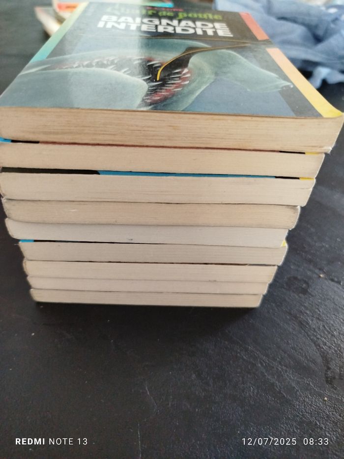 9 livres chair de poule - photo numéro 3