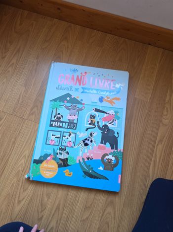 Très grand livre eveil 