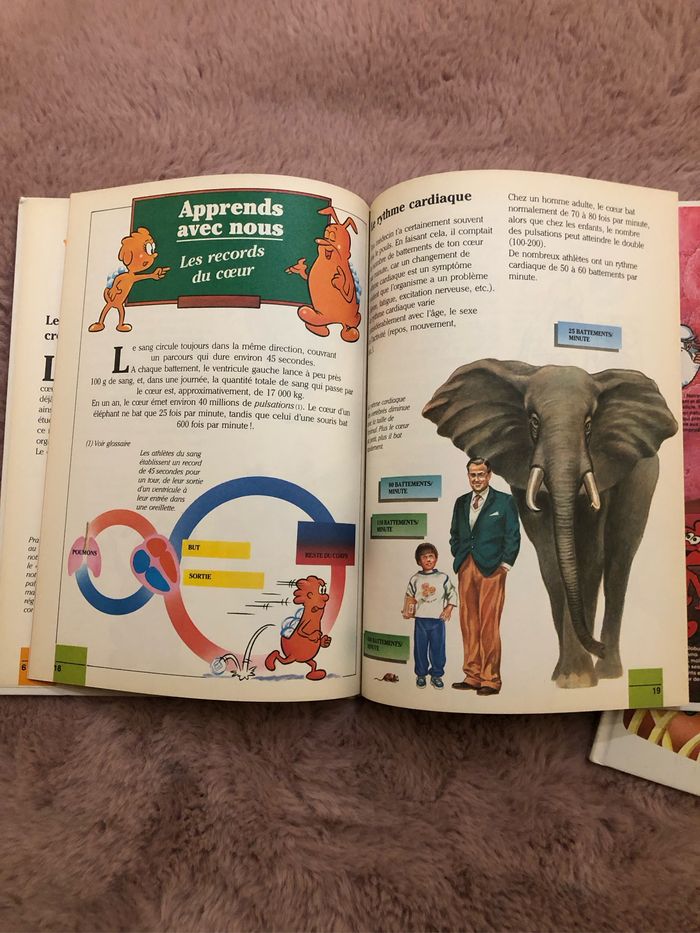 Livre «  il était une fois la vie » - photo numéro 6