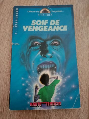 E. Stevenson 🔹 Soif de vengeance
