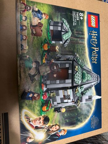 LEGO 76428 Cabane de Hagrid – Une visite inattendue – Harry Potter – Neuf, Scellé