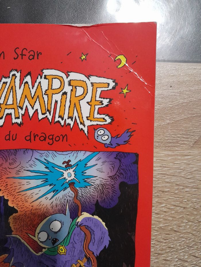 roman Petit vampire - le pouvoir du dragon - photo numéro 2