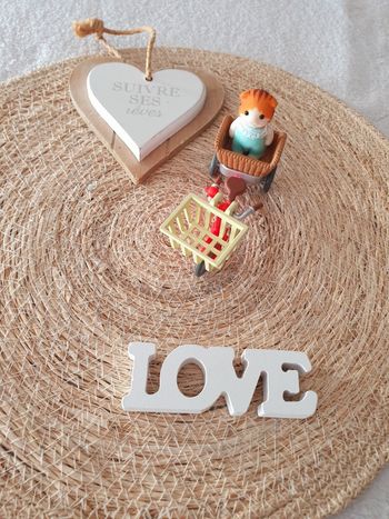 Le Petit Vélo Sylvanian 💌