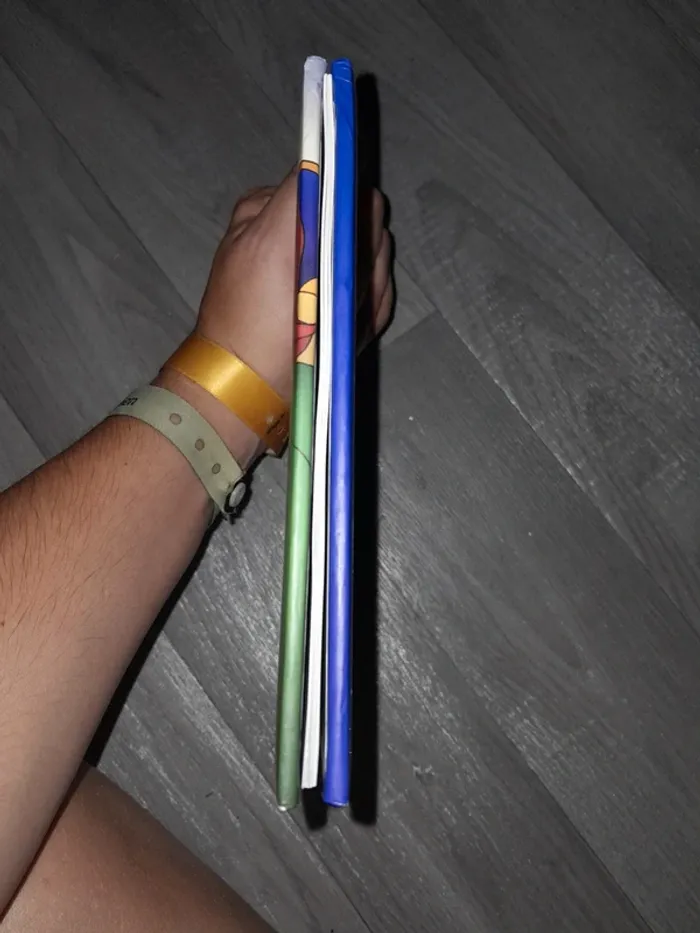 Livre caillou - photo numéro 2